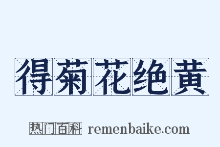 得菊花绝黄是什么意思的图片